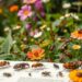 Bug Hunt