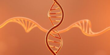DNA