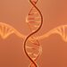 DNA