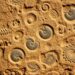 Fossils