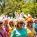 Hat Parade
