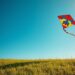 Kite Flying