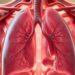 Lungs