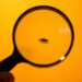 Magnifying Glass