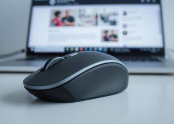 Mouse