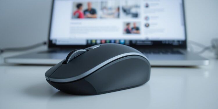 Mouse