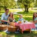 Picnic Fun