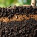 Soil