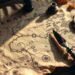 Treasure Map