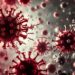Viruses