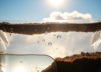 Water Experiment