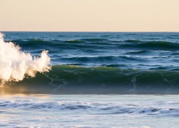 Waves