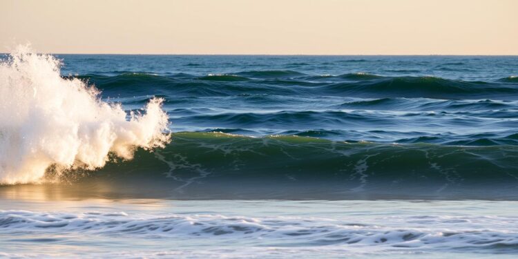 Waves